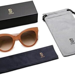 31rglvbbo7l. Ac .jpg