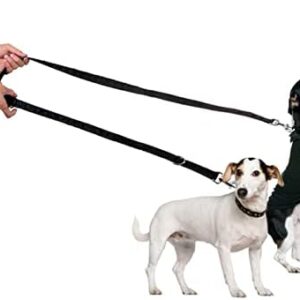 31rnpdmuqpl. Ac .jpg