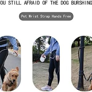 41blfdsa2rl. Ac .jpg