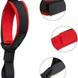 41kkdmvqwol. Ac .jpg