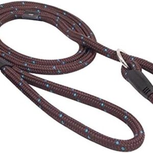 41bpnw3dp6l. Ac .jpg