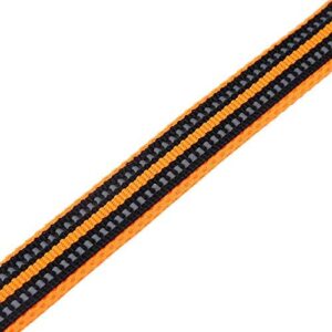 41upgbkck6l. Ac .jpg