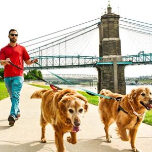 51zthshxpjl. Ac .jpg