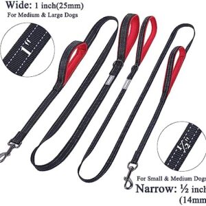 51i1 C31tql. Ac .jpg