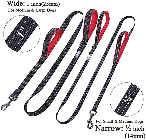 51i1 C31tql. Ac .jpg