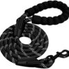 51lr8ssicyl. Ac .jpg