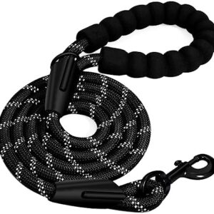 51lr8ssicyl. Ac .jpg