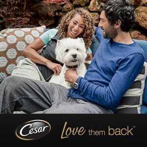 1712948160 61frr7j8f4l. Ac .jpg