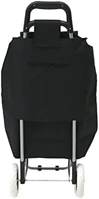 21vl9waybgl. Ac .jpg