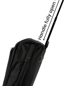 31cwmcizbql. Ac .jpg