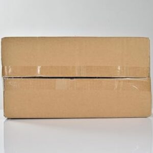 31a6h1swm L. Ac .jpg