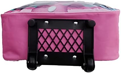 31qmex3x9 L. Ac .jpg