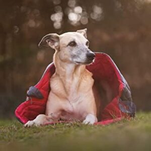 31reoezpbnl. Ac .jpg