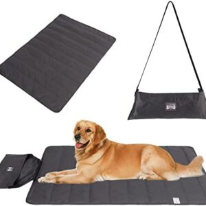 412p Q5nerl. Ac .jpg