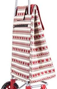 41aoyjaeqol. Ac .jpg