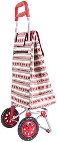 41aoyjaeqol. Ac .jpg