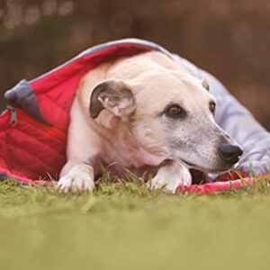 41du5hxx80l. Ac .jpg