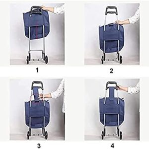 41sgf5lf2nl. Ac .jpg