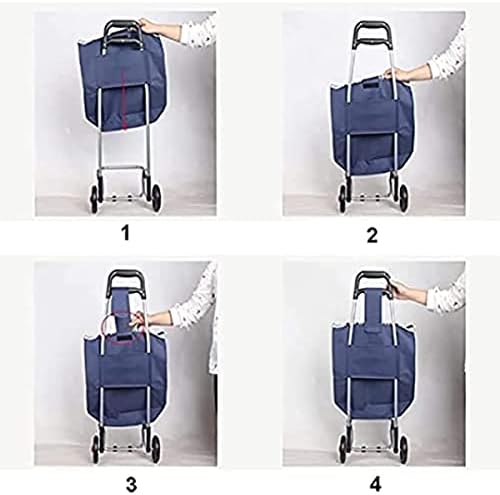 41sgf5lf2nl. Ac .jpg