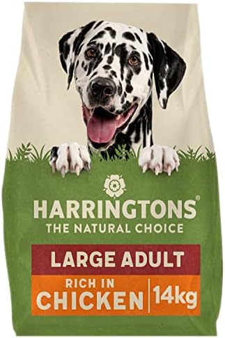 41y5kqplvsl. Ac .jpg