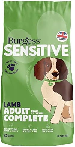 41gbpayroil. Ac .jpg