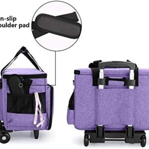 41lg9i1mifl. Ac .jpg