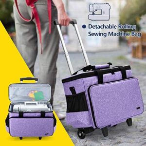 513cay1yqpl. Ac .jpg