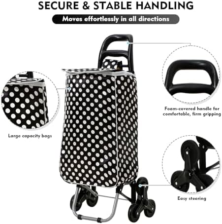 51fsb7tplfl. Ac .jpg