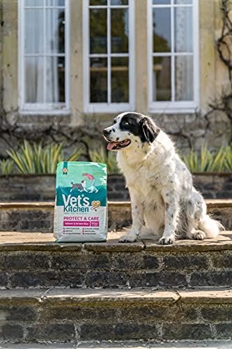 51mxmo4l Xs. Ac .jpg