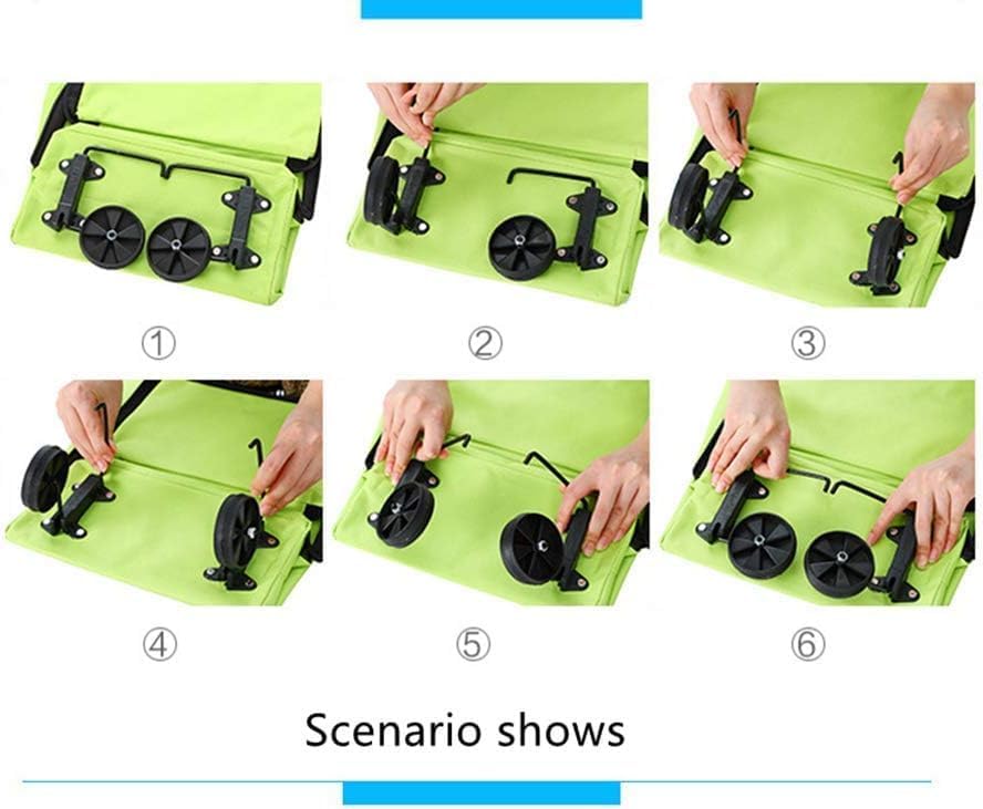 51pkzectgol. Ac .jpg