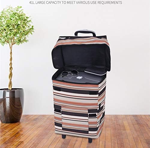 51vyzxd00ul. Ac .jpg