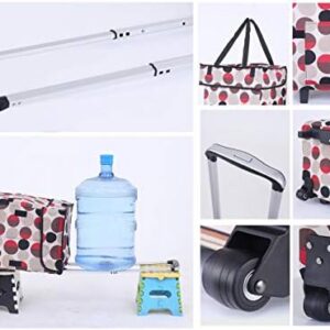 51lgonv 2ql. Ac .jpg