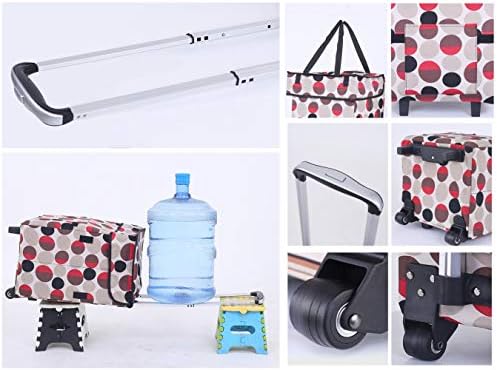 51lgonv 2ql. Ac .jpg