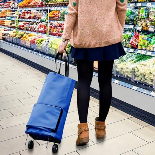 51odaltuk L. Ac .jpg