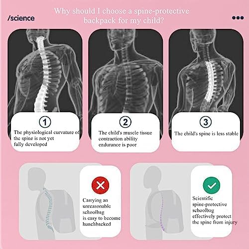 51xbvc Aw0l. Ac .jpg