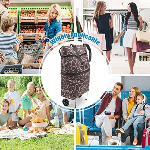 61hwxszr2ul. Ac .jpg