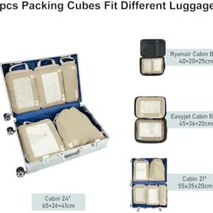 41fqebdpel. Ac .jpg