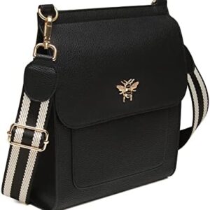 41v6hgrtcml. Ac .jpg