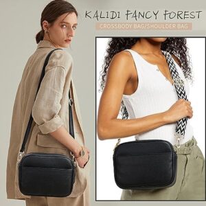 51bdpq0bmgl. Ac .jpg