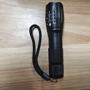 51sriwolntl. Ac .jpg