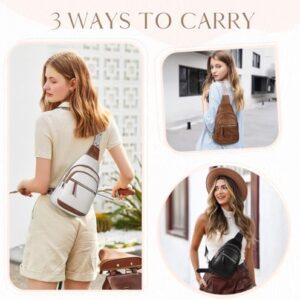 51b1lsiwo7l. Ac .jpg