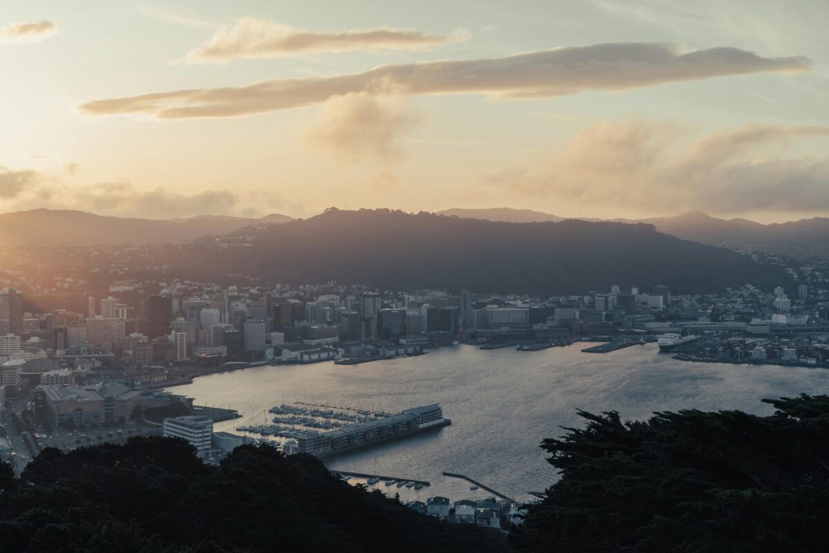 Pexels Donovan Kelly 110228397 18062808 Scaled 1